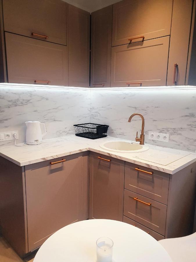 Apartament Beige Z Ogrodkiem دجيفنوفيك المظهر الخارجي الصورة